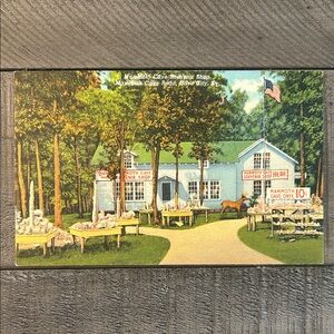 Vintage Mammoth Cave Kentucky Linen Postcard